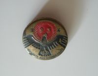 propagandistický odznak, Německo III.říše