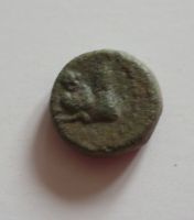 AE-14, hlava býka, 2.-1.stol.př.n.l., Mysia Kyzikos, Řecko
