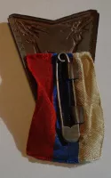 ČSR Sokolský let 1920