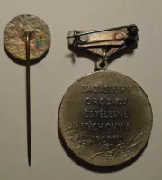 ČSSR Za zásluhy o rozvoj tělovýchovy stř. stupeň