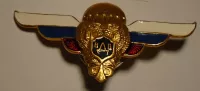 Rusko odznak PARA jednotek