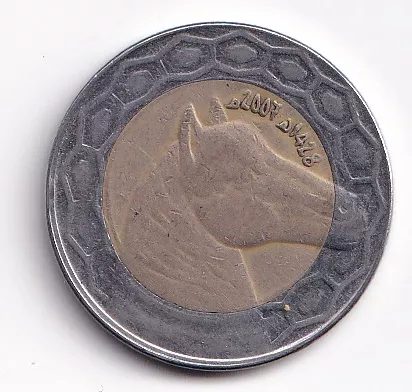 Alžírsko 100 Dinár 2007