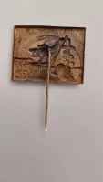 Den brannosti v Přelouči 1934, ČSR