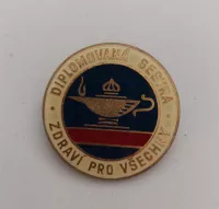 diplomovaná sestra, ČSSR