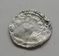 Parvus, 1346-78, Karel IV., Čechy