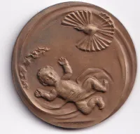 rodné město Polička