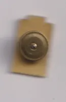 čs.vojáci v USA,zlatý stupeň,ČSR