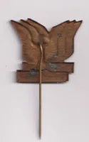 Sokol v Duchcově 1938,ČSR