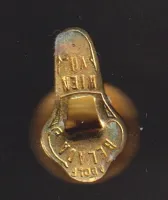 spolkový odznak 1880,Německo