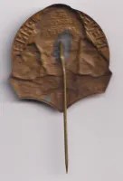 Jan Žižka 1924.,ČSR