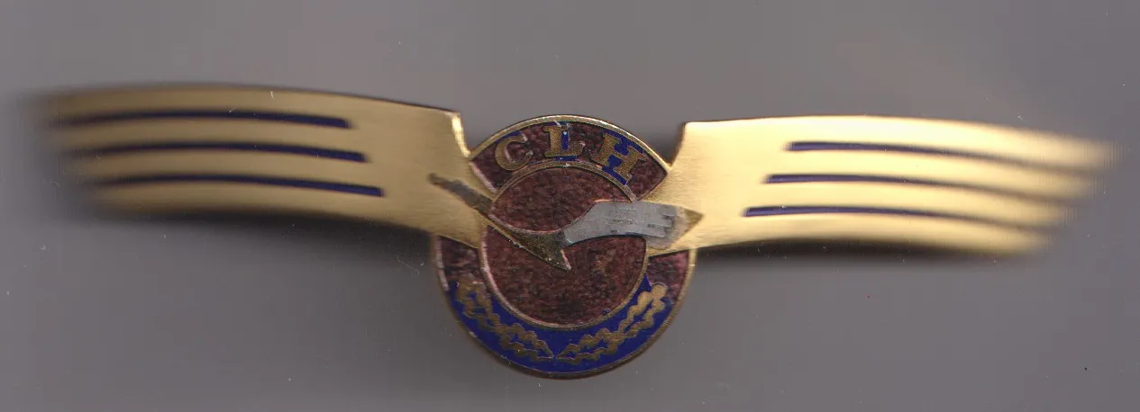 pilotní odznak,plachtař,CLH