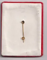 Zasloužilý zlepšovatel plus miniatura