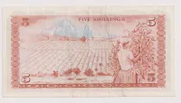 5 schilingi 1974,Kena