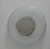 Denár, 1251-1276, Přemysl Otakar II., Rakousko