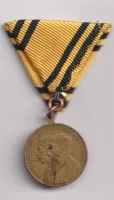 manévry u Chotovin 1913.,Čechy