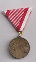 Na spojenectví 1914.,Rakousko-Uhersko