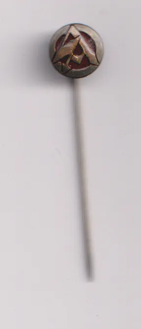 odznak SA.,kopie.,3.říše.,Německo