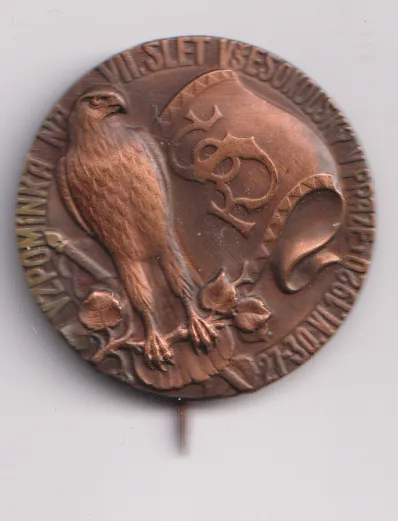 VIII.všesokolský slet v Praze.1920.,ČSR
