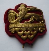 Dánsko odznak králov.gardy