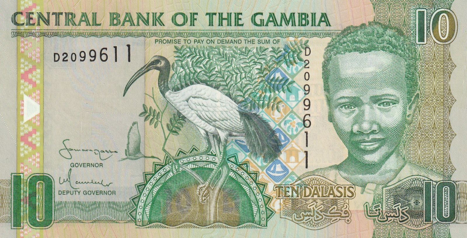 10 Dalasis, Gambie, pták