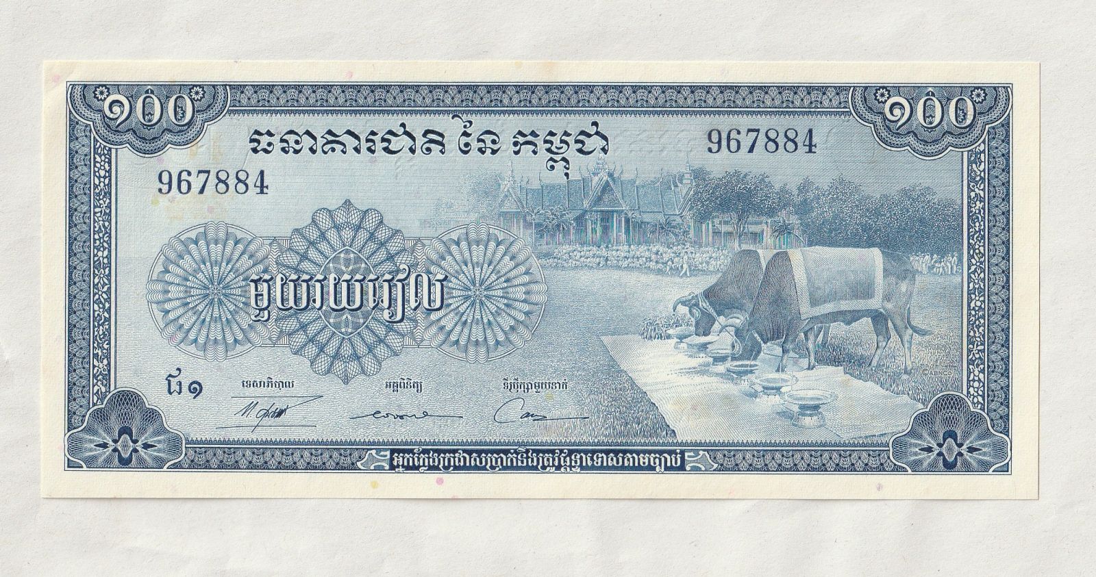 100 Riels, volové pijí, Kambodža