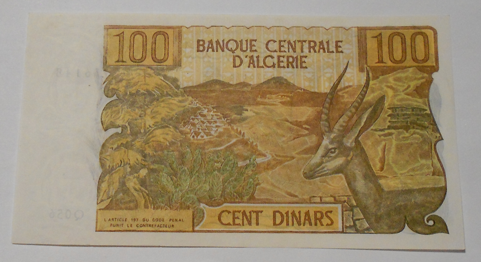 Alžír 100 Dinár 1970, lama