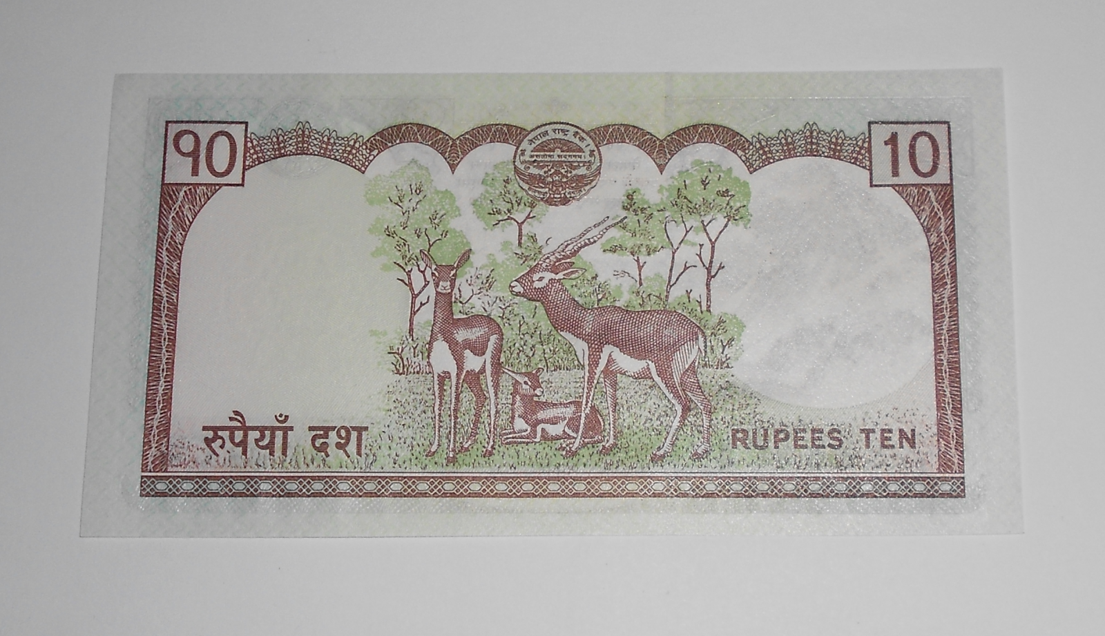Nepál 10 Rupie Lamy