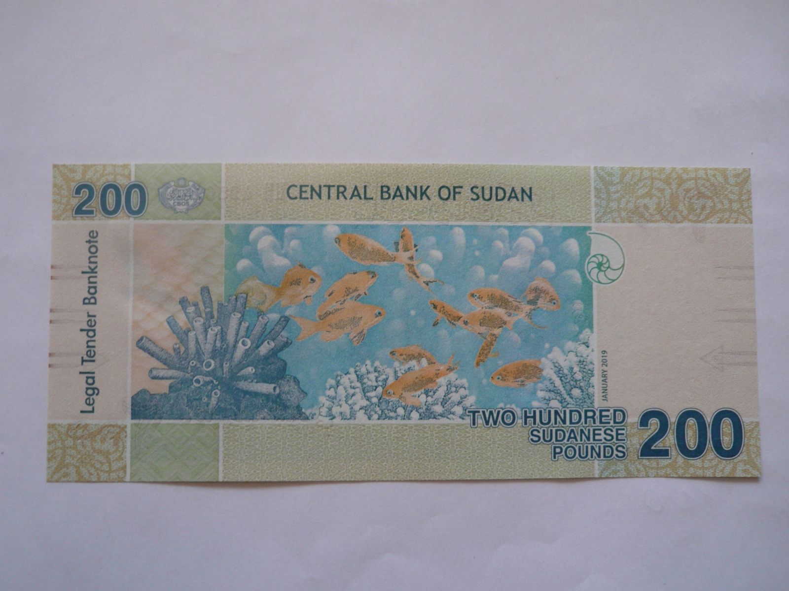 200 Pounds, 2019, Súdán