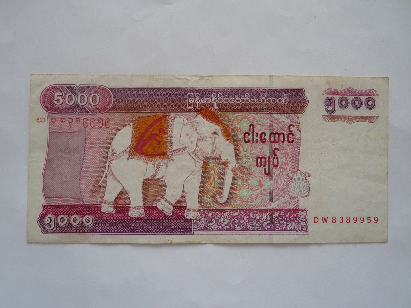 5000 Kyats, slon, Myanmar